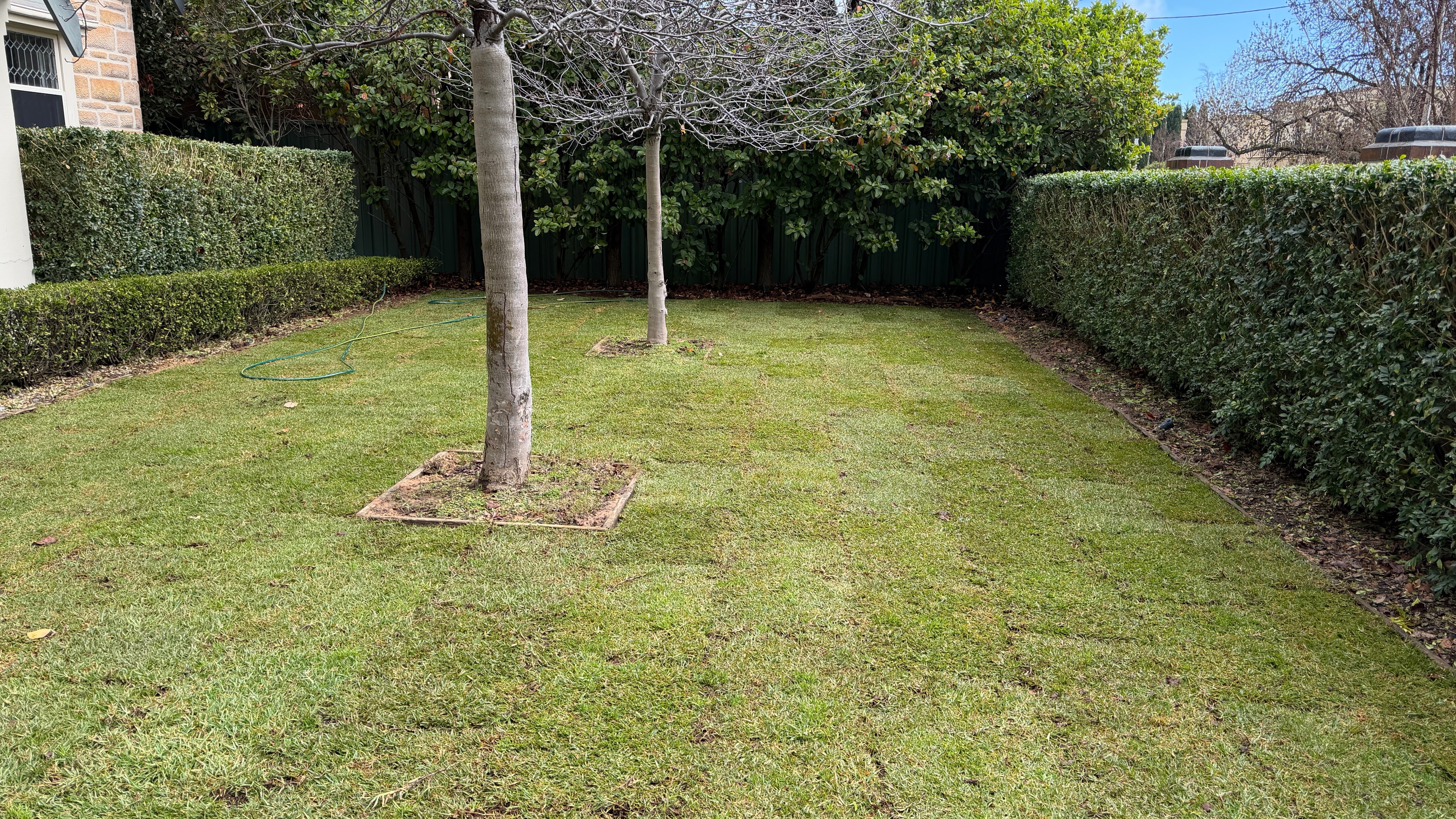 After — New Turf - Unley